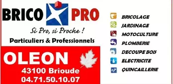 Brico Pro Oléon 